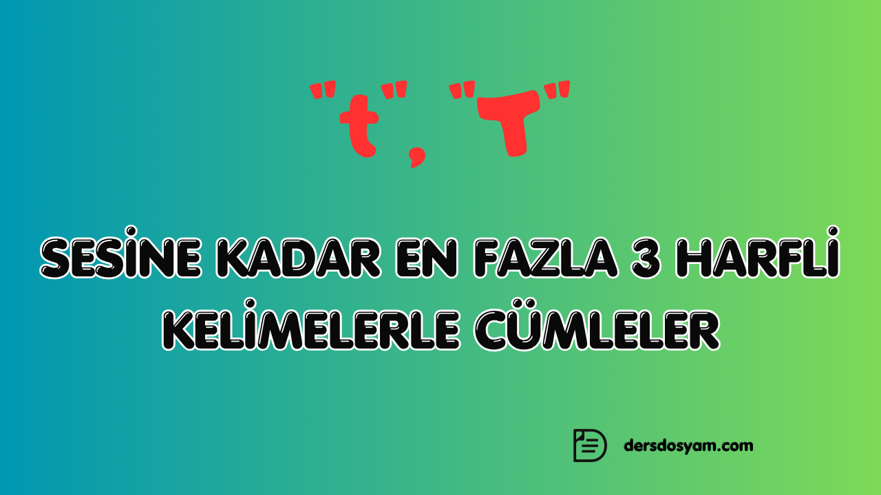 t sesi 3 harfli kelimelerle kolay cümleler çalışma kağıdı