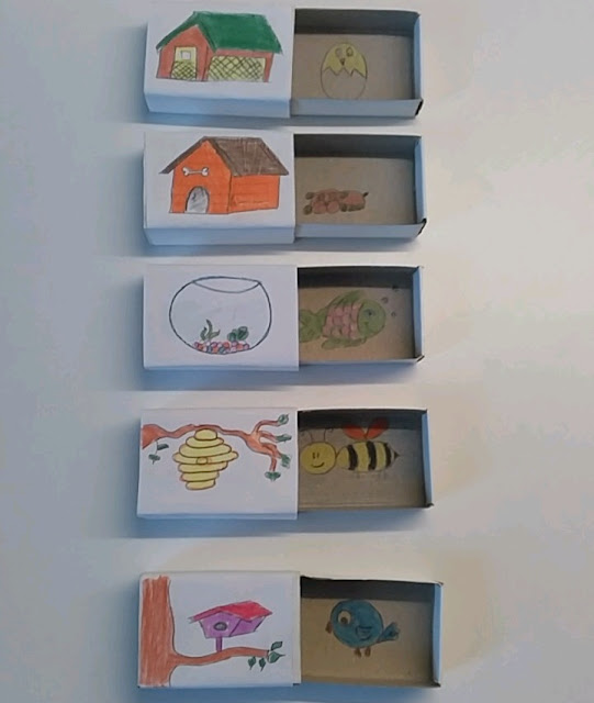 Her Canlının Yuvası Var Materyali