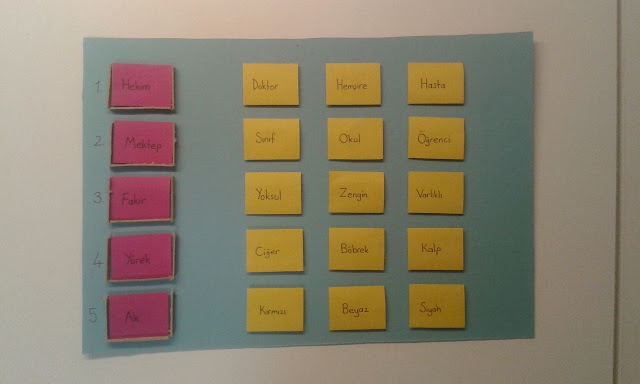 Mıknatısla Eş Anlam Materyali