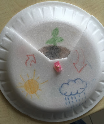 Tohumun Evreleri Materyali - Adım 2