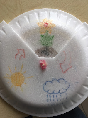 Tohumun Evreleri Materyali - Adım 4